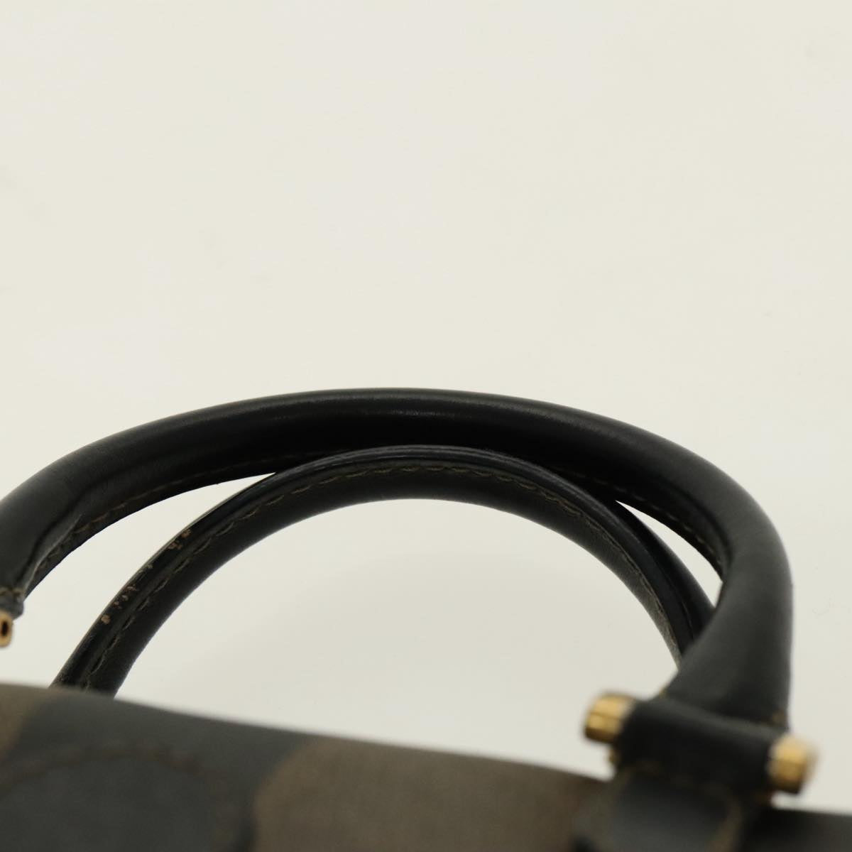 FENDI Pecan Canvas Mini Hand Bag Brown Black gold 95610
