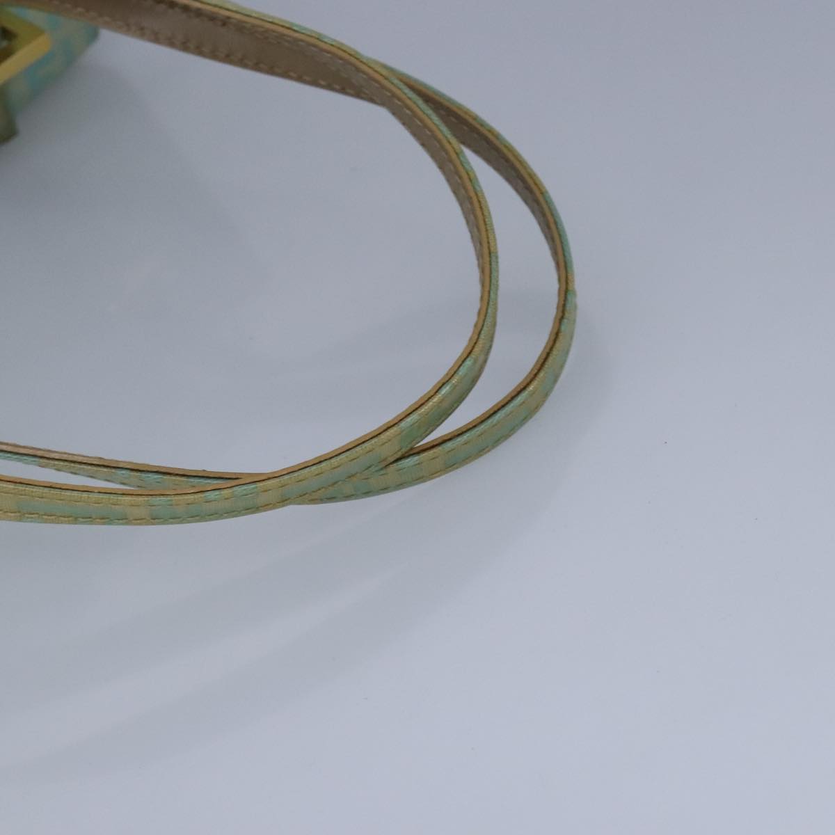 FENDI Zucchino Canvas Hand Bag Patent leather Green 99134
