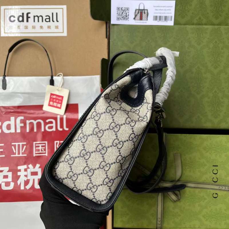 GUI2 Bags - Fashion Bags  485
