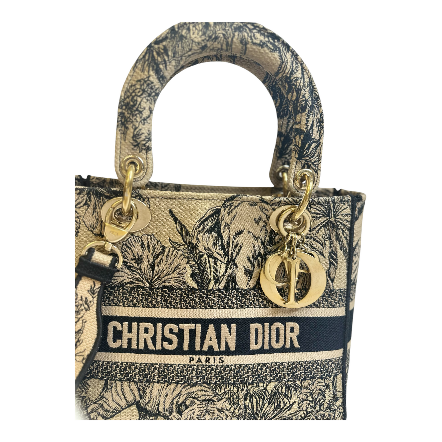 Christian Dior Toile de Jouy Voyage Embroidered Medium Lady D-Lite Beige Multicolor