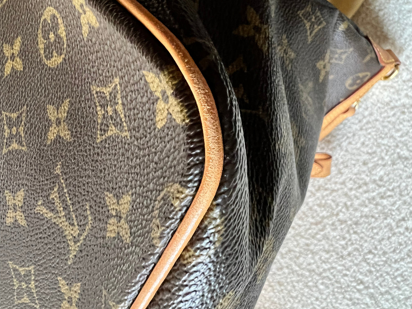Louis Vuitton Palermo PM Monogram