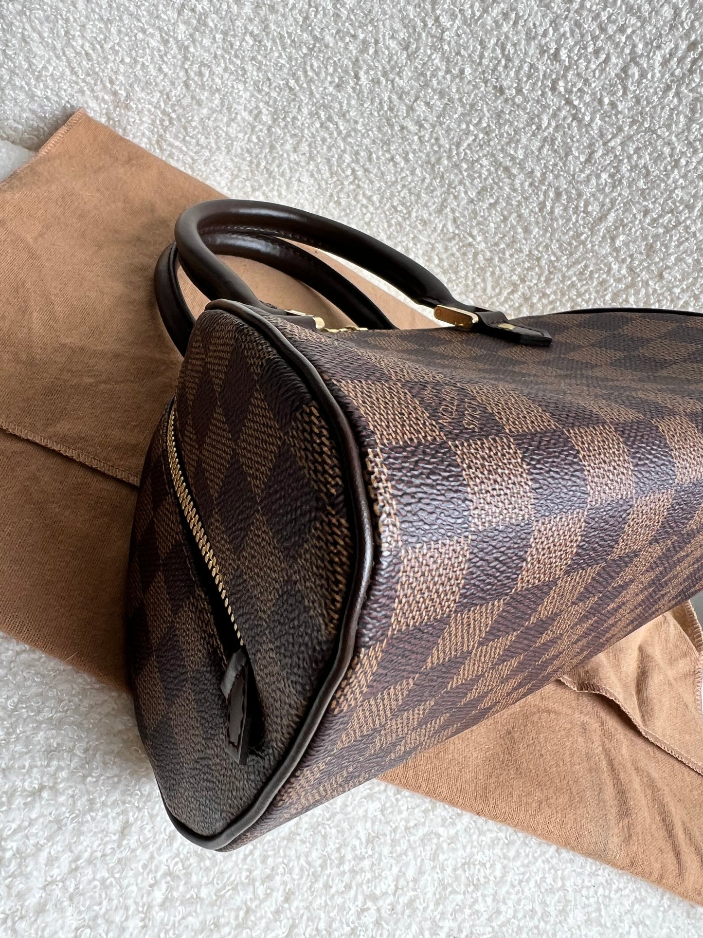 Louis Vuitton Ribera PM Damier Ebene
