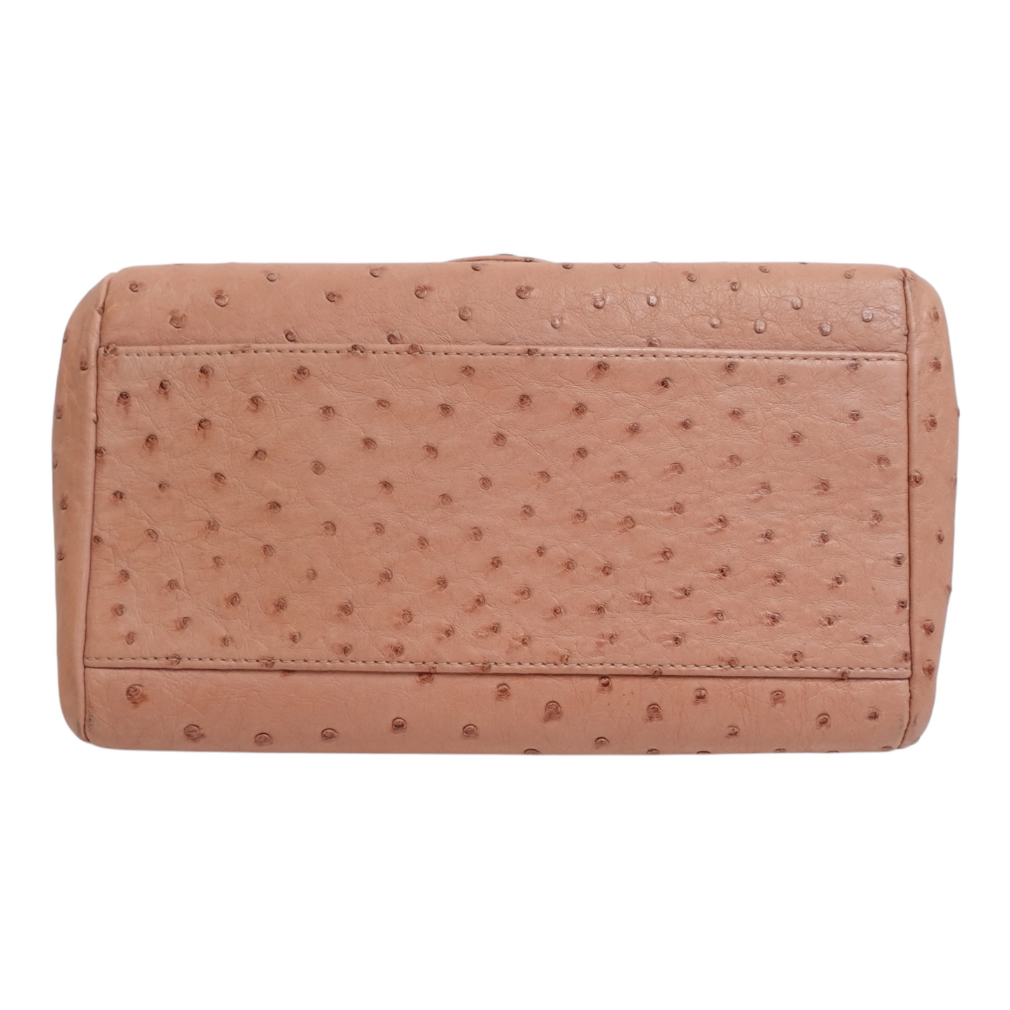 Chanel Ostrich Accordion Flap Bag