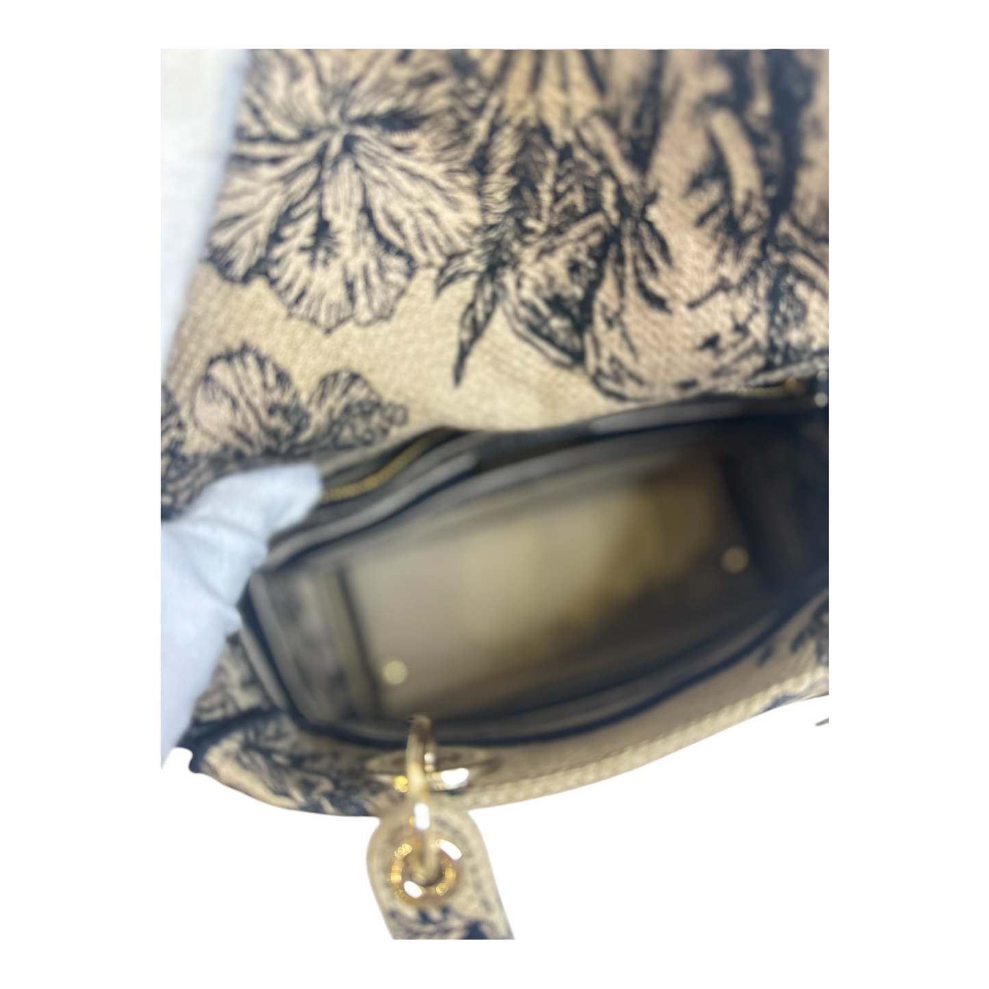 Christian Dior Toile de Jouy Voyage Embroidered Medium Lady D-Lite Beige Multicolor