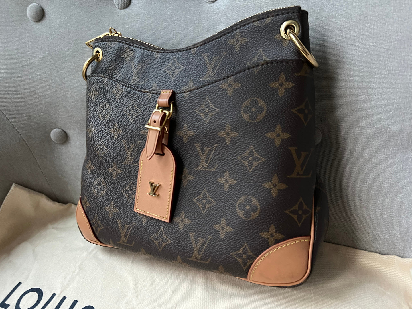 Louis Vuitton Odeon Monogram (RRP £1650)