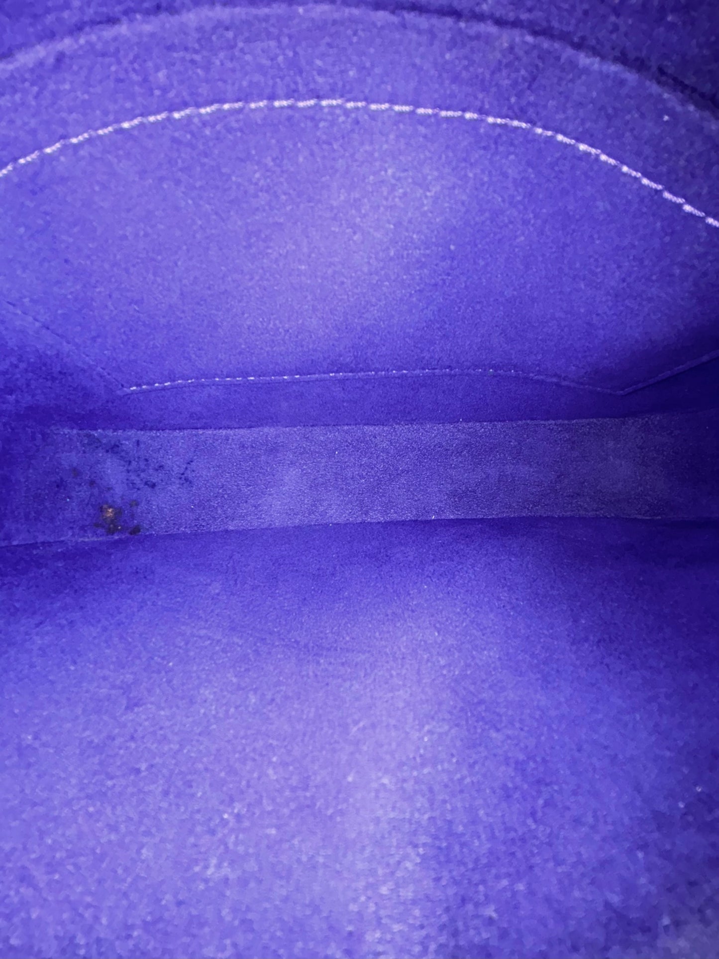 LOUIS VUITTON Purple Epi Leather Accessories Pochette