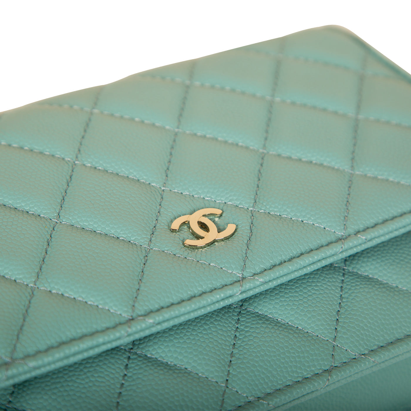 Chanel WOC