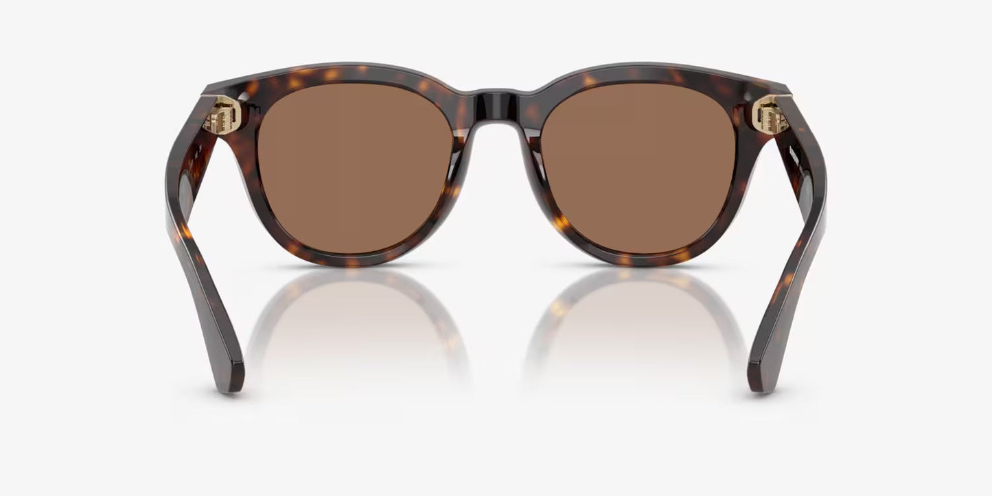 BURBERRY BE4439 SUNGLASSES IN DARK HAVANA