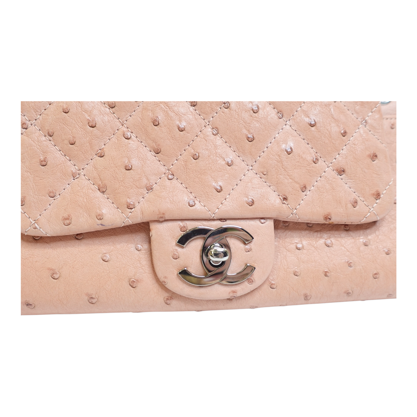 Chanel Ostrich Accordion Flap Bag