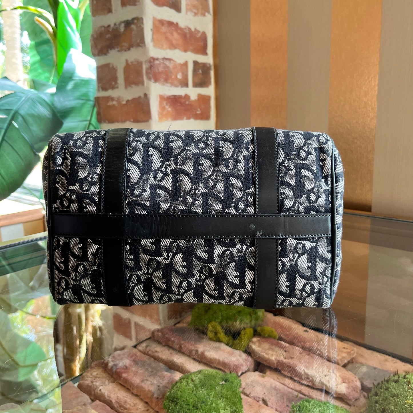 CHRISTIAN DIOR Trotter Canvas Satchel