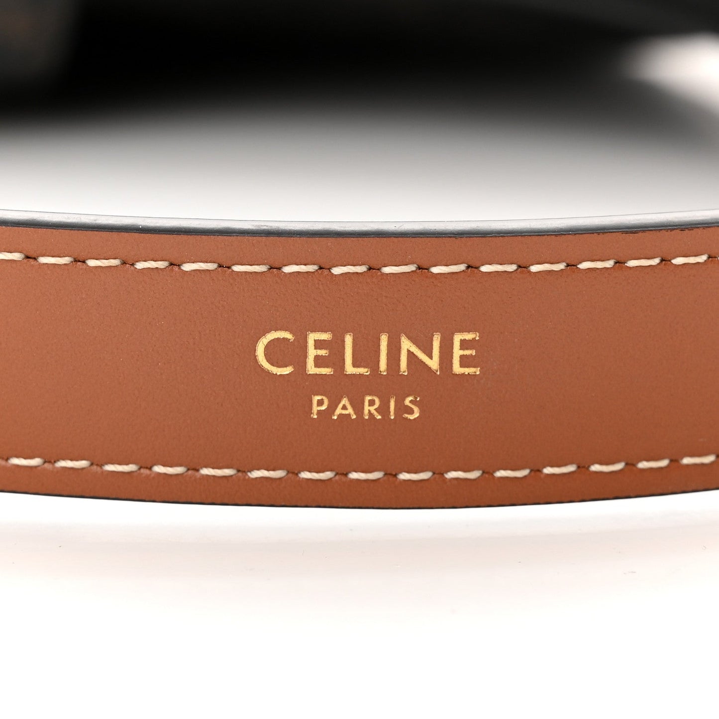 CÉLINE CALFSKIN & COATED CANVAS MEDIUM AVA TRIOMPH HOBO BAG