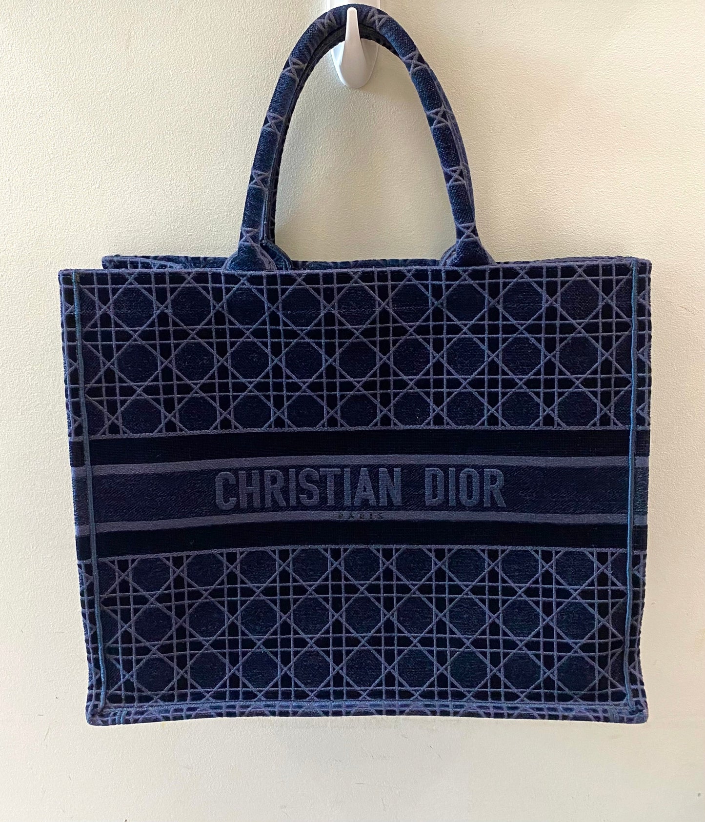 DIOR EMBROIDERED CANNAGE VELVET LARGE BOOK TOTE BAG