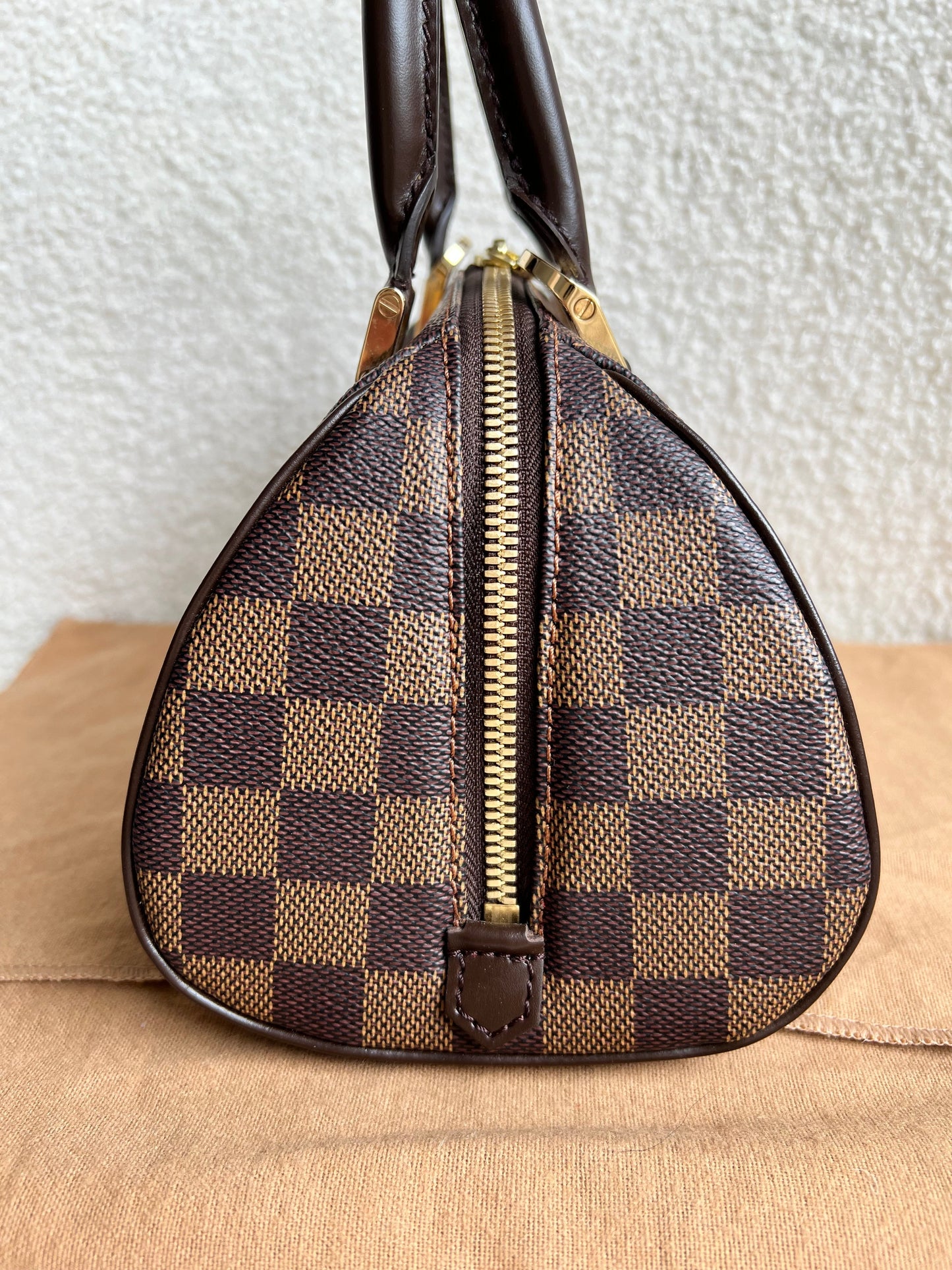 Louis Vuitton Ribera PM Damier Ebene