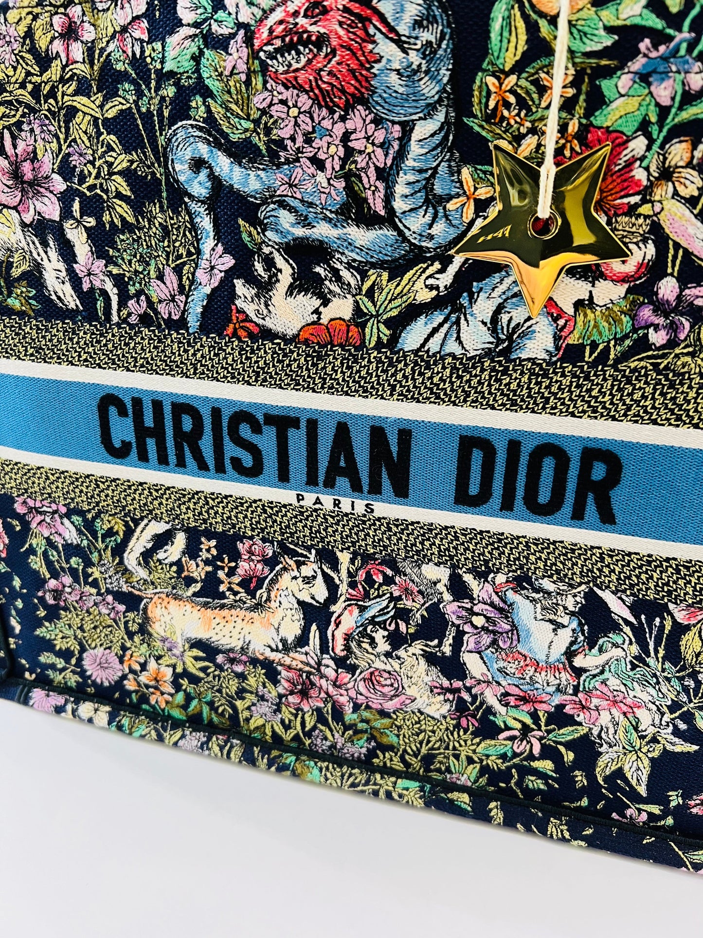 DIOR CANVAS EMBROIDERED LARGE D-CONSTELLATION BOOK TOTE