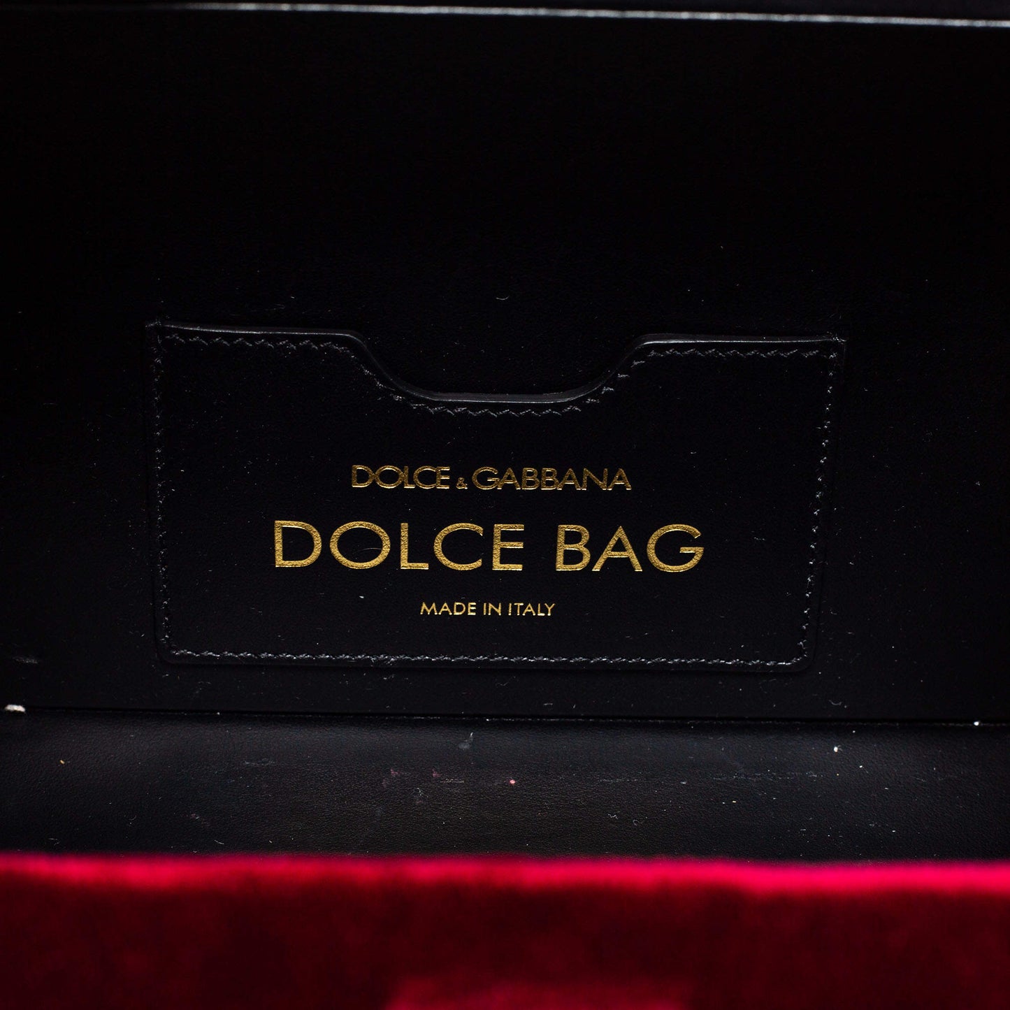 DOLCE & GABBANA VELVET LIZARD EMBOSSED LEATHER EMBELLISHED BOX BAG