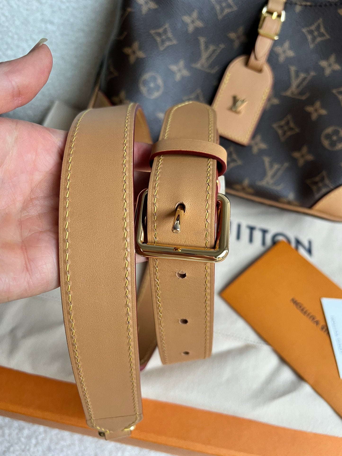 Louis Vuitton Odeon PM Monogram (RRP £1540)