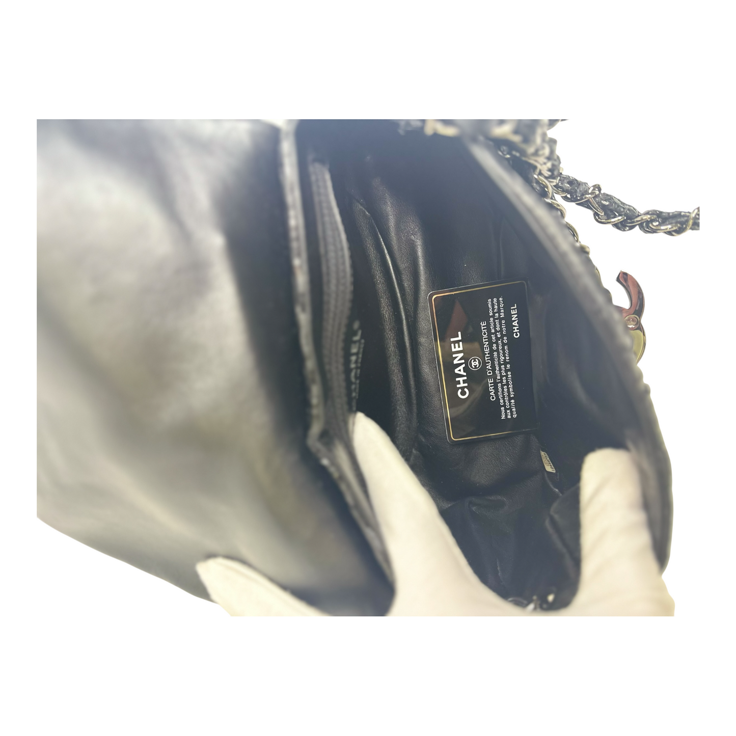 Chanel CC Accordion Flap Bag Python Medium