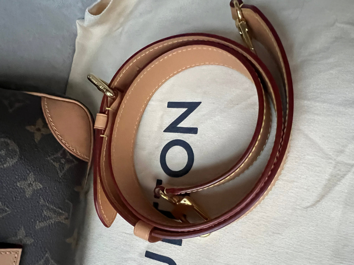 Louis Vuitton Odeon Monogram (RRP £1650)