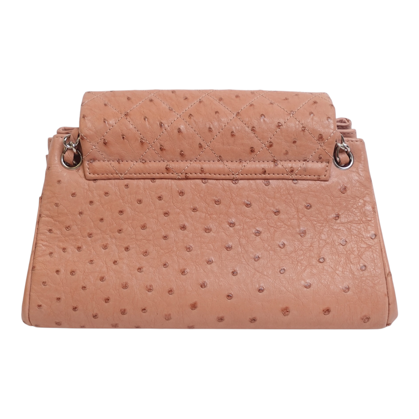 Chanel Ostrich Accordion Flap Bag