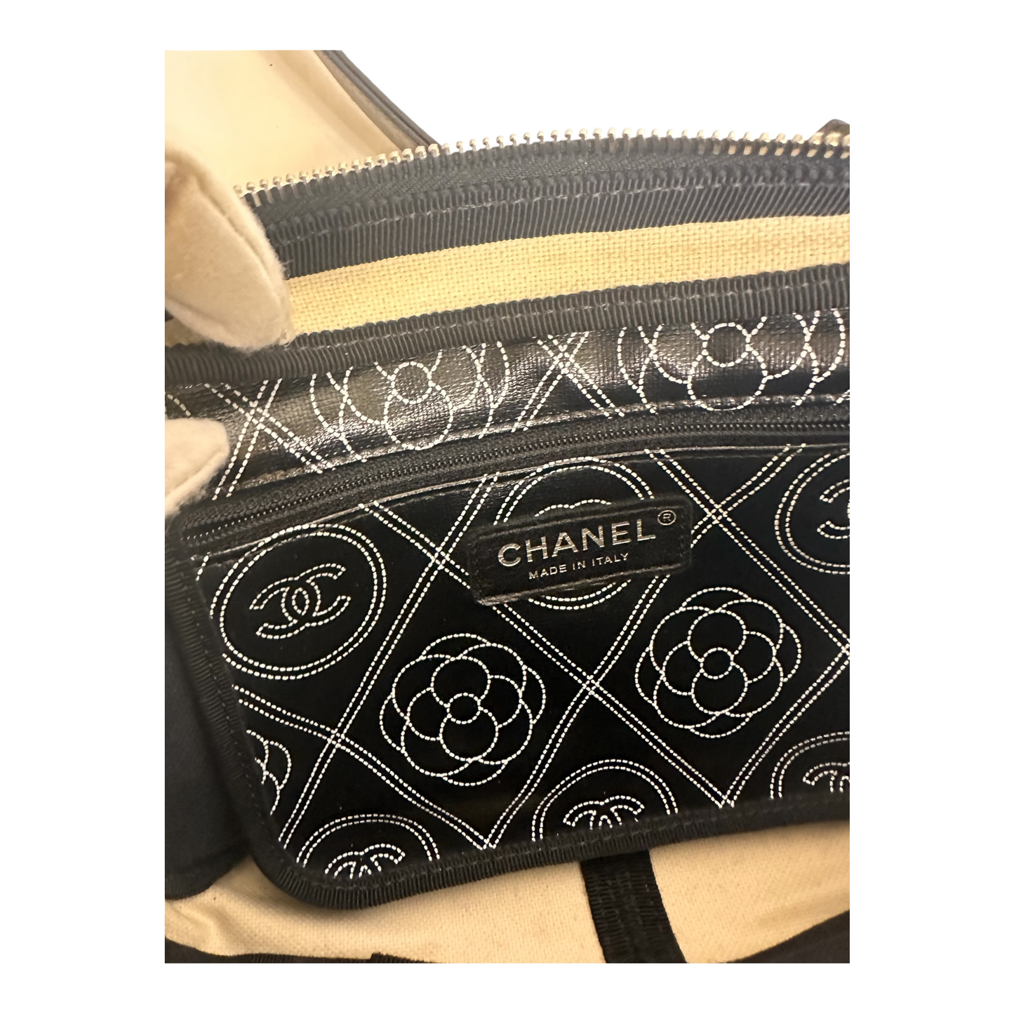 Chanel Coated Canvas Calfskin Camellia Printed Camera Case