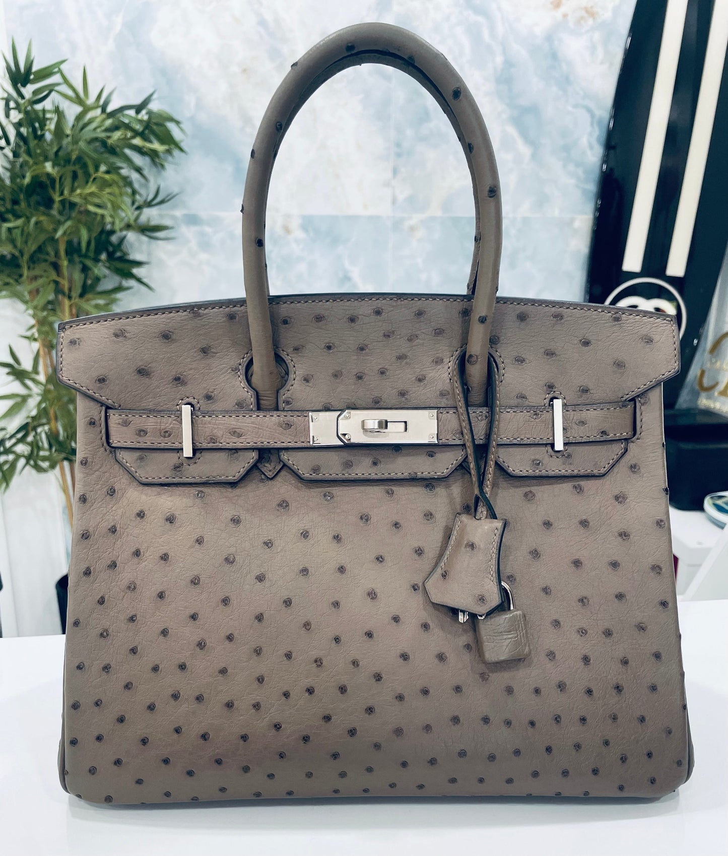 HERMÈS BIRKIN 30 OSTRICH PALLADIUM HARDWARE HANDBAG – MOUSSE (2016)