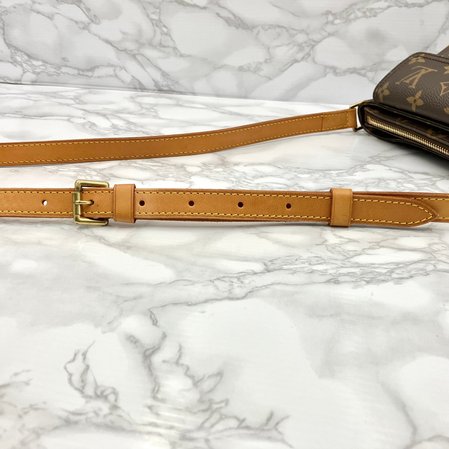 LOUIS VUITTON Monogram Viva Cite PM