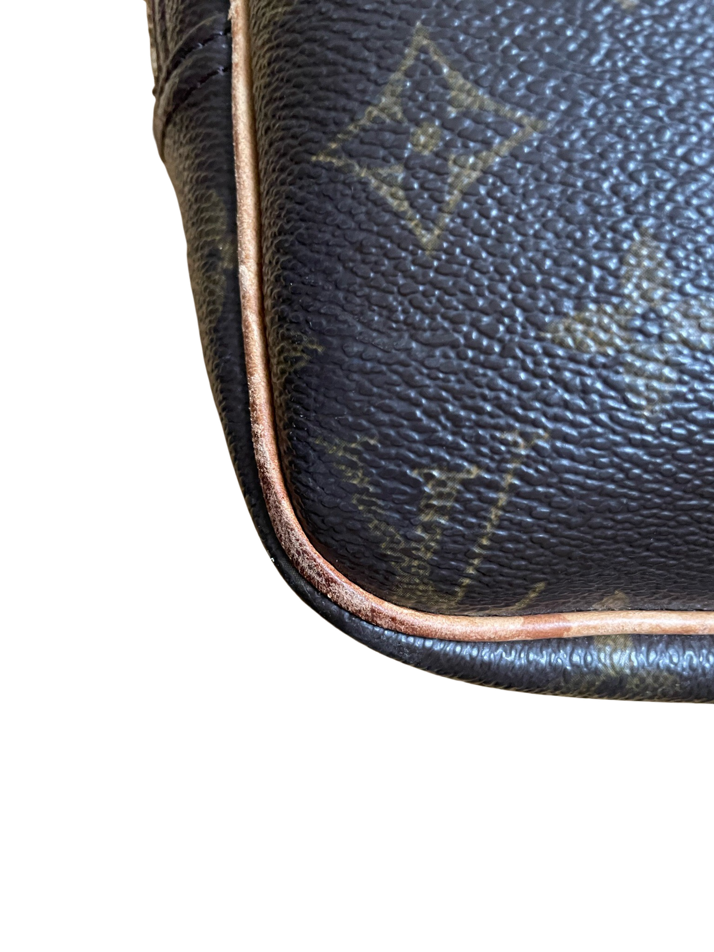Louis Vuitton Reporter PM Monogram