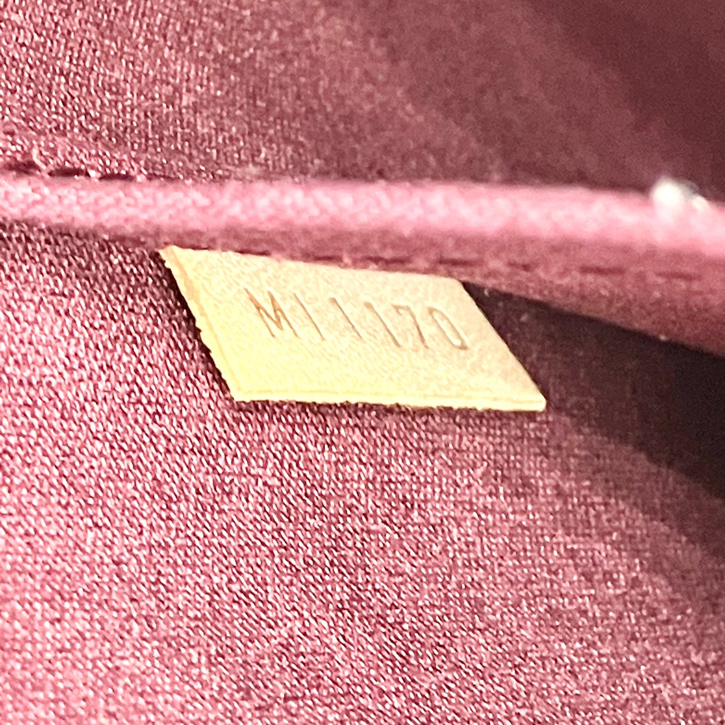 LOUIS VUITTON Vernis Alma MM