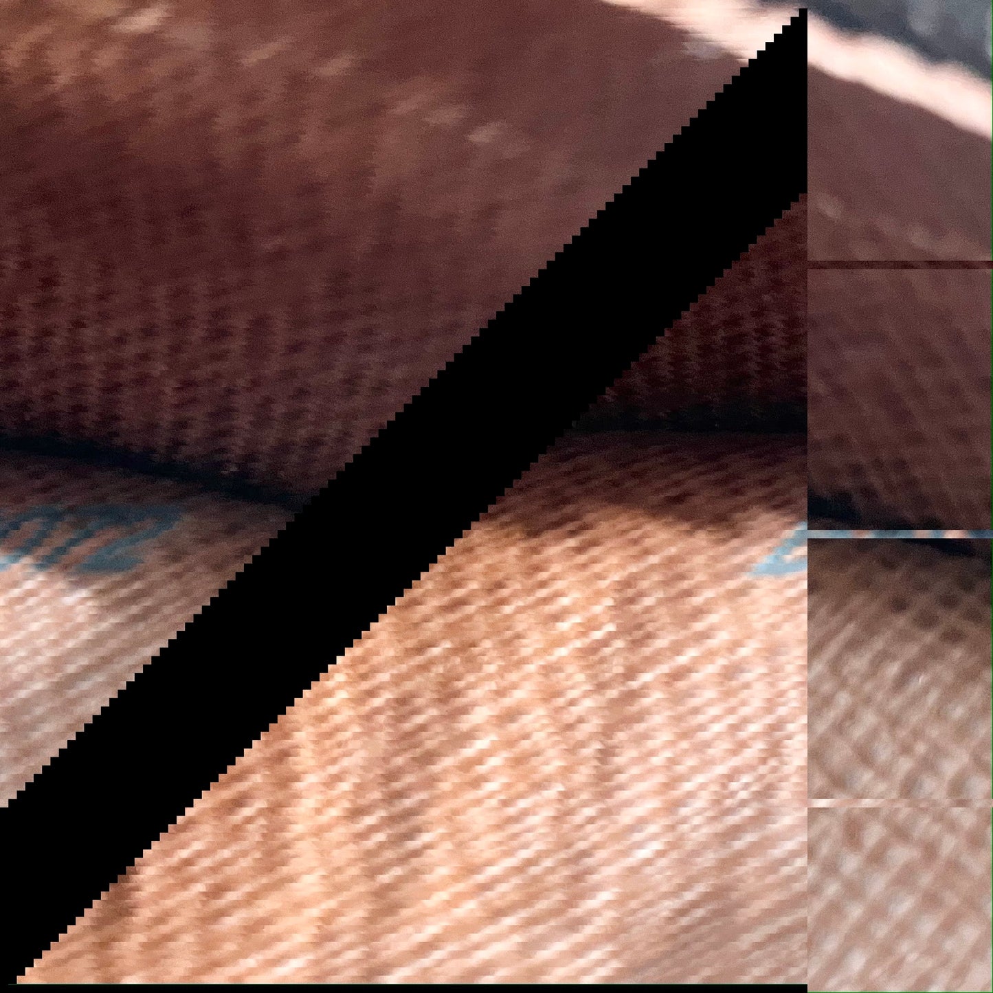 LOUIS VUITTON Monogram Blois