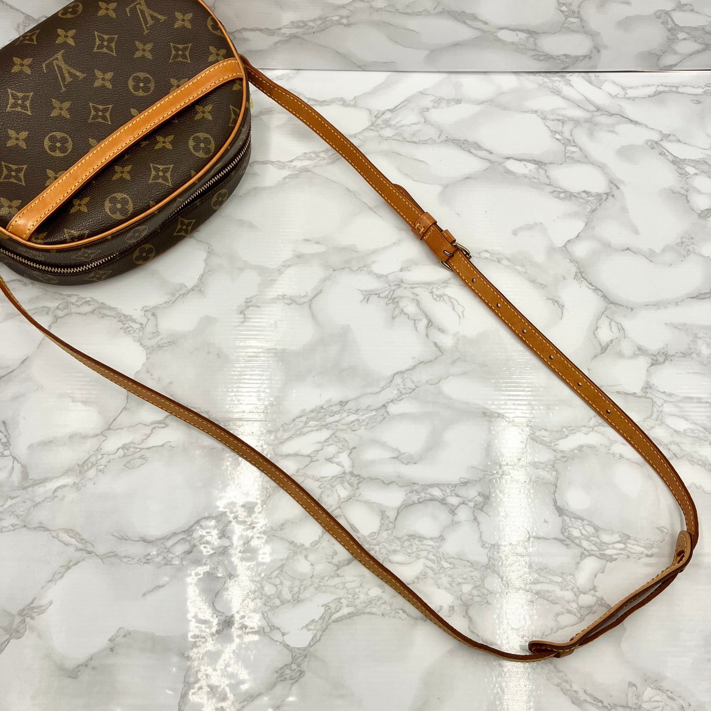 LOUIS VUITTON Monogram Blois