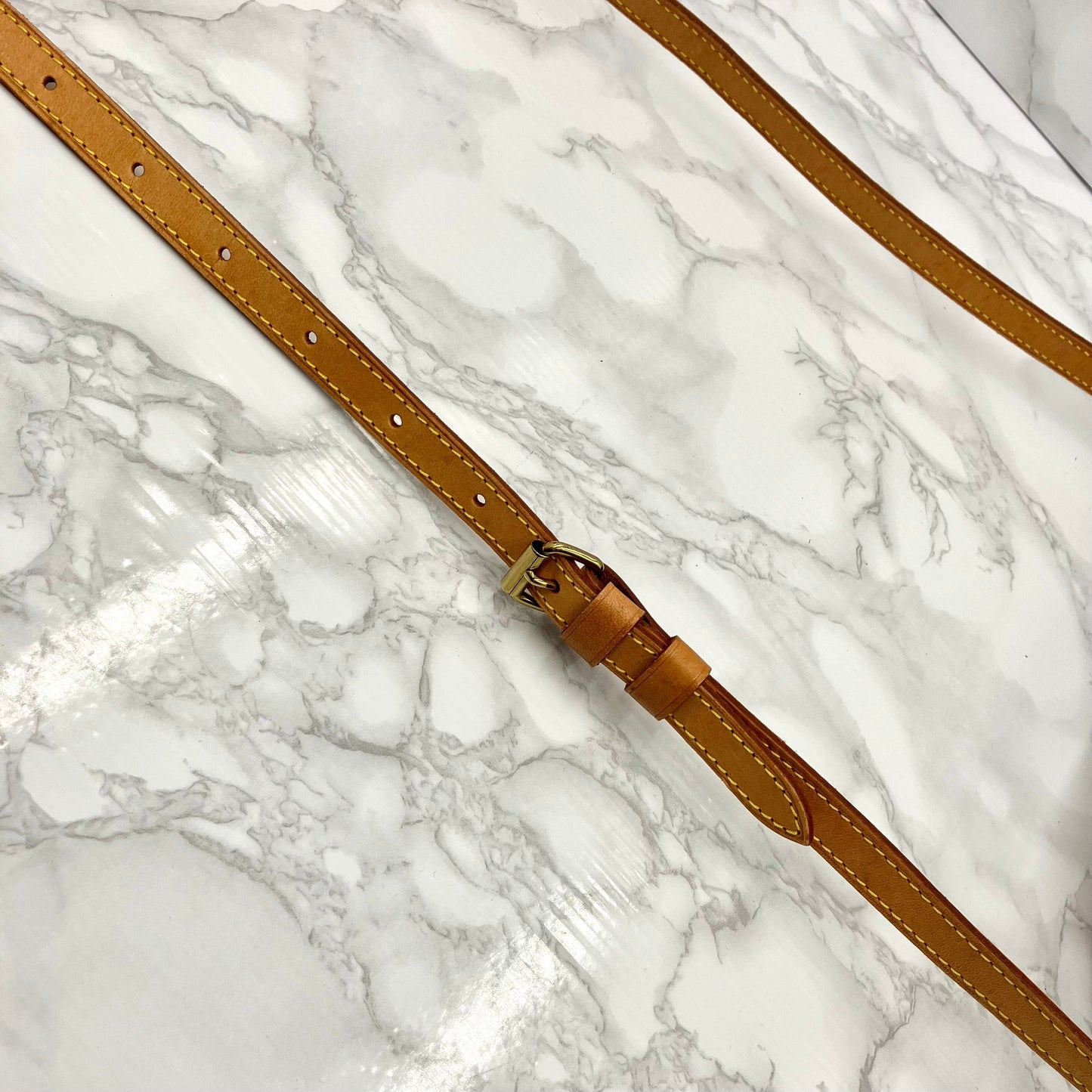 LOUIS VUITTON Monogram Blois