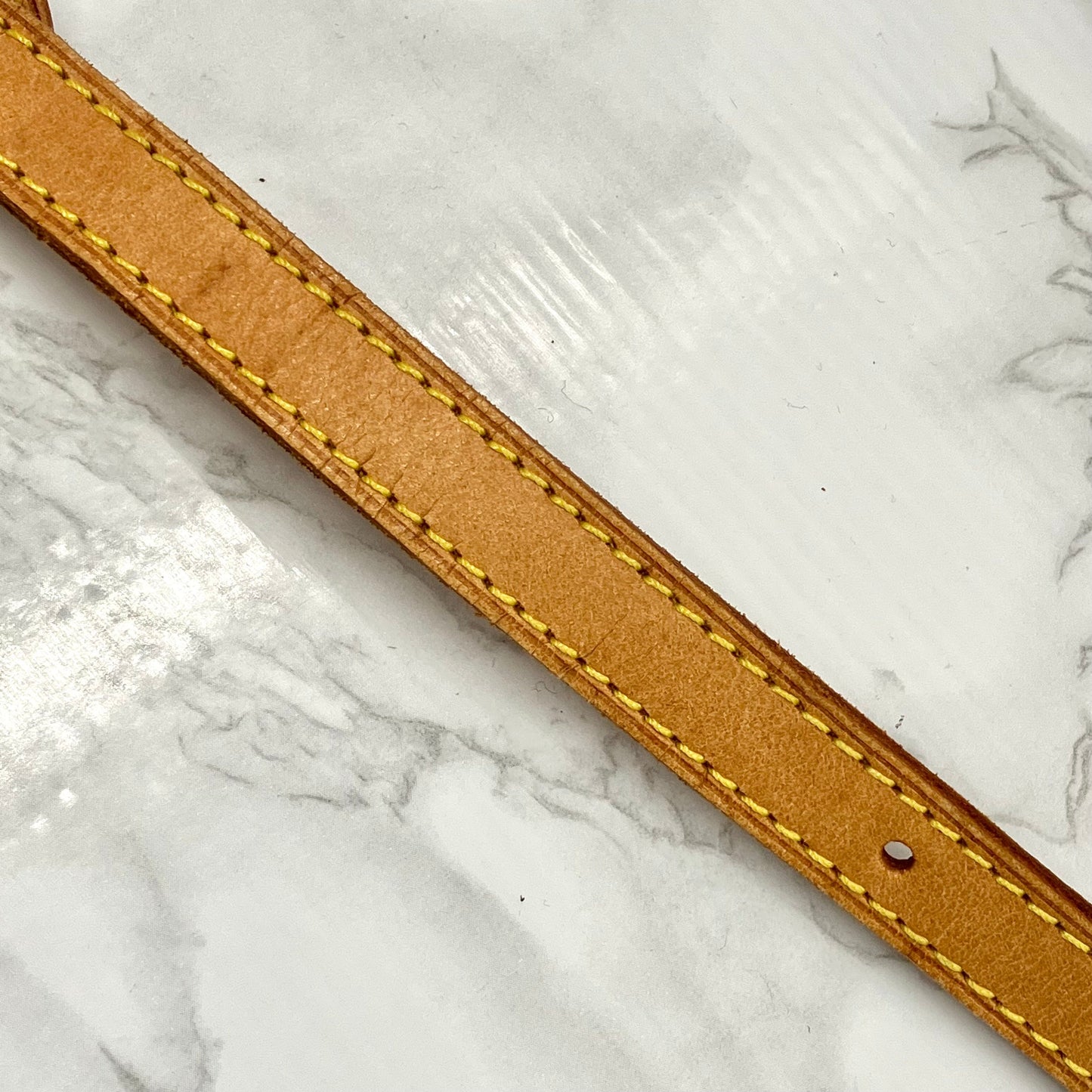LOUIS VUITTON Monogram Blois