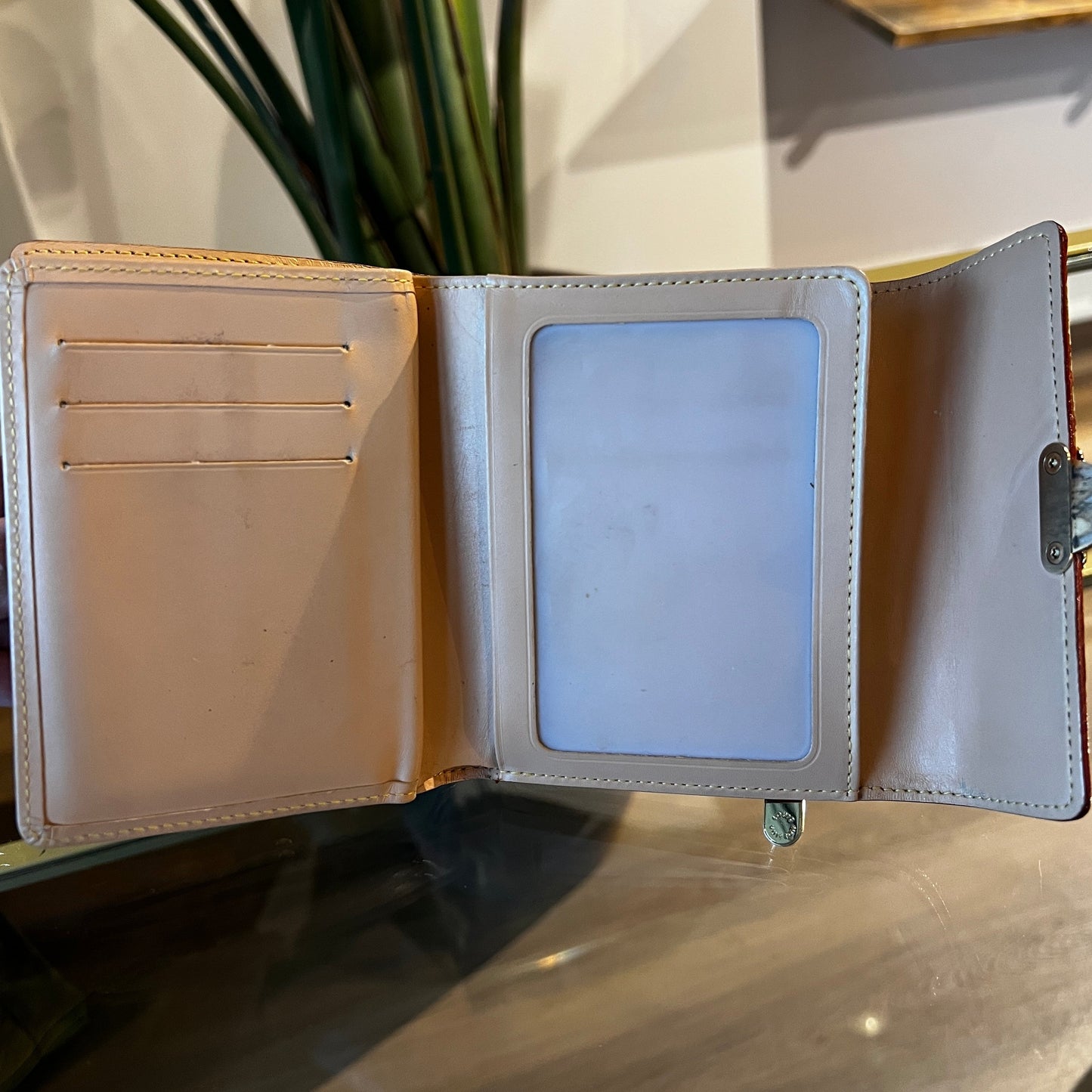 LOUIS VUITTON Multicolor x Takashi Koala Wallet
