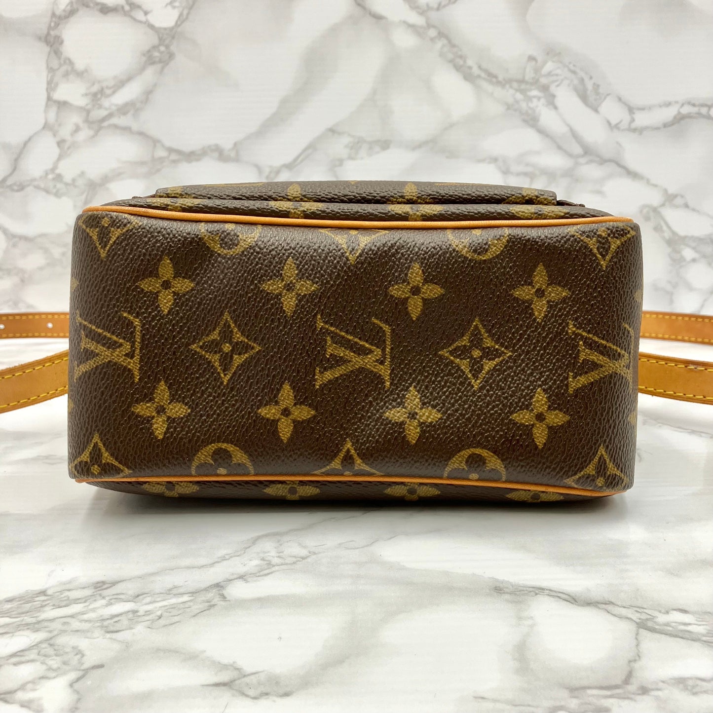 LOUIS VUITTON Monogram vivacite