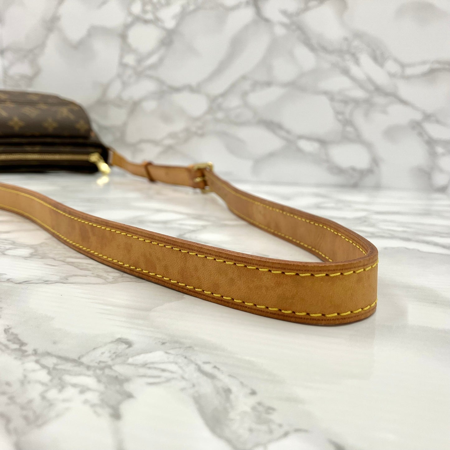 LOUIS VUITTON Monogram vivacite