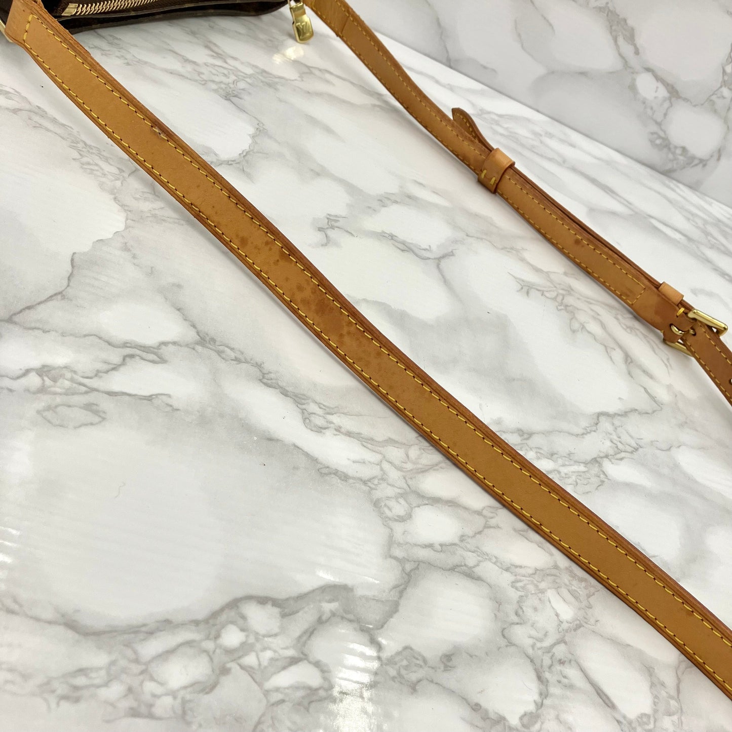 LOUIS VUITTON Monogram vivacite