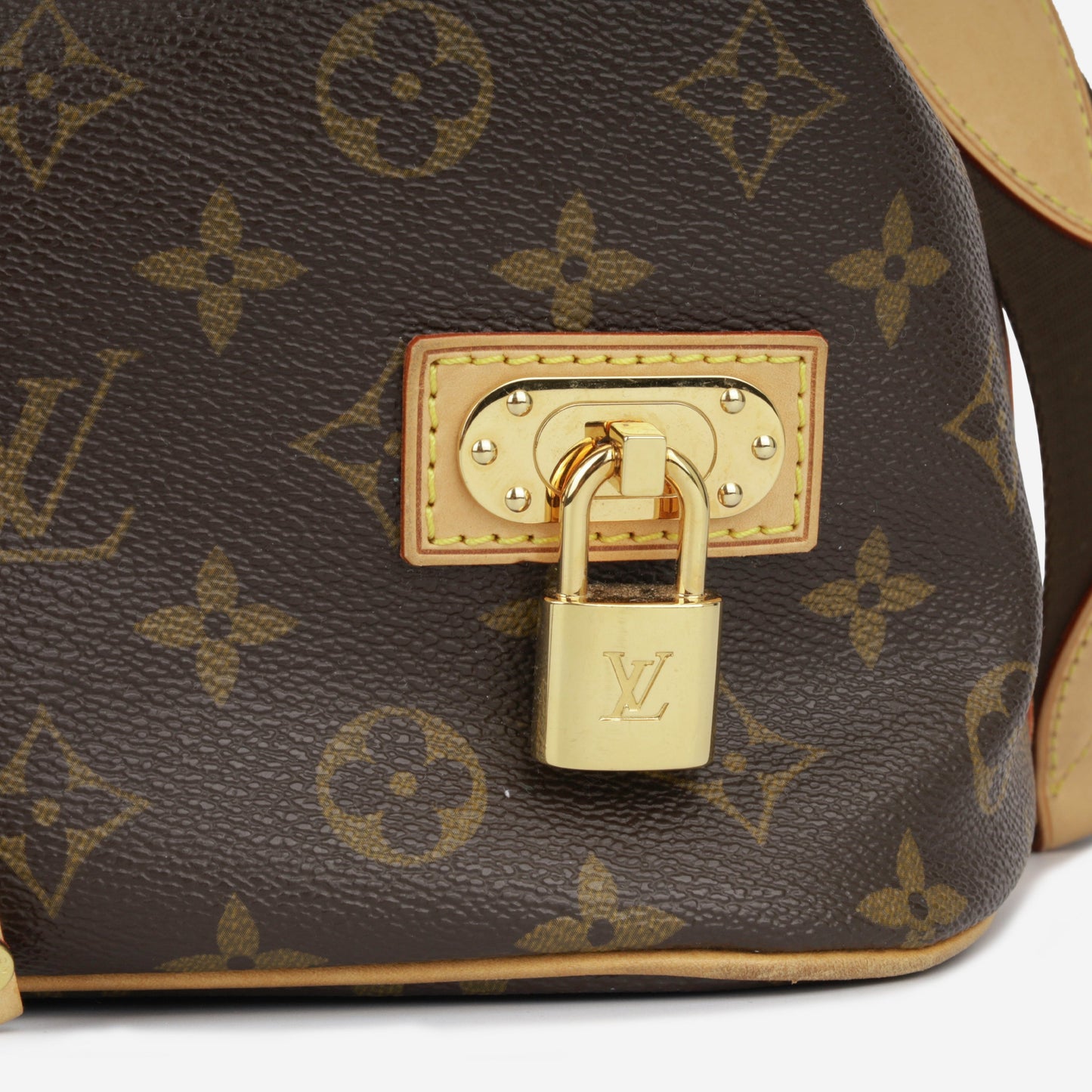 Louis Vuitton Eden Neo Bucket Bag