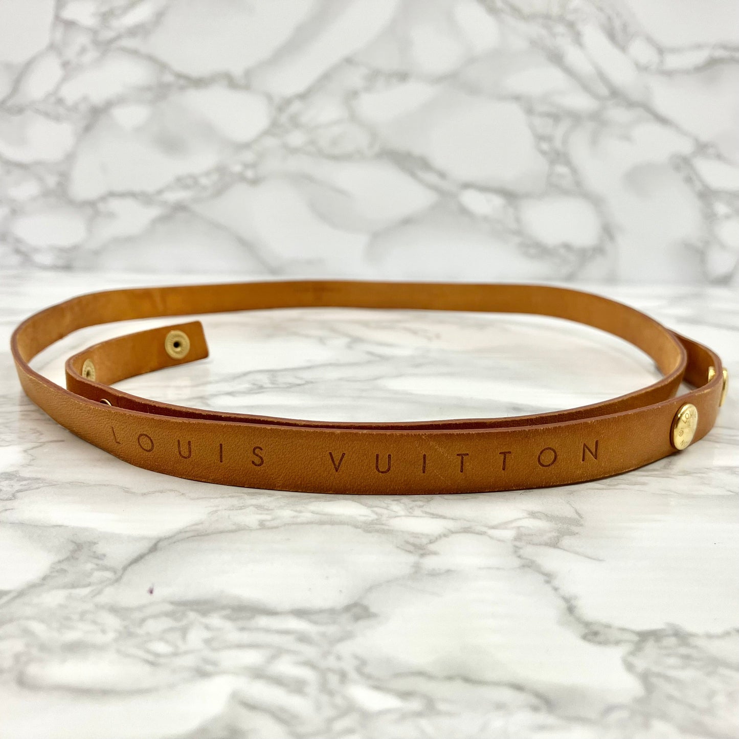 LOUIS VUITTON Monogram florentine
