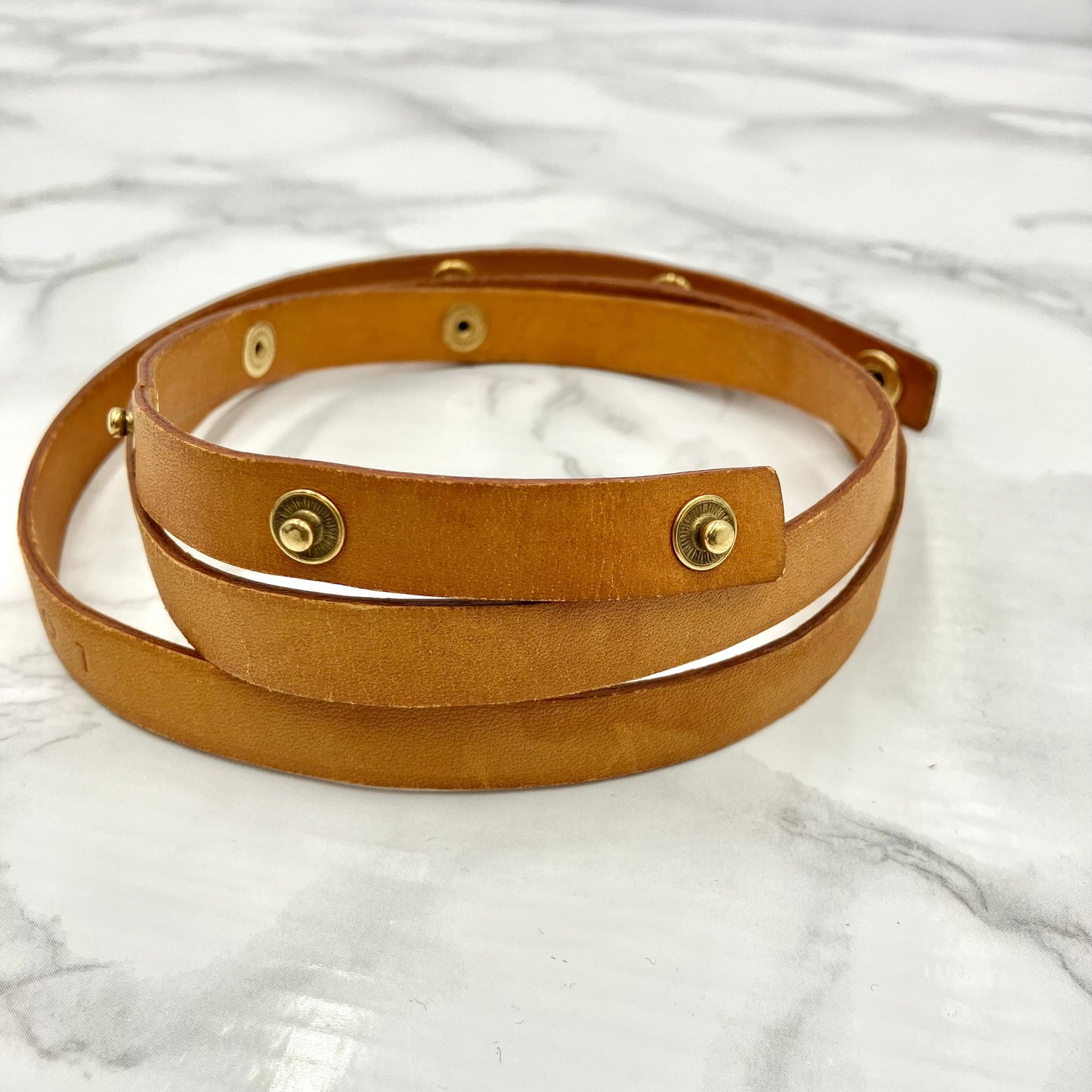 LOUIS VUITTON Monogram florentine