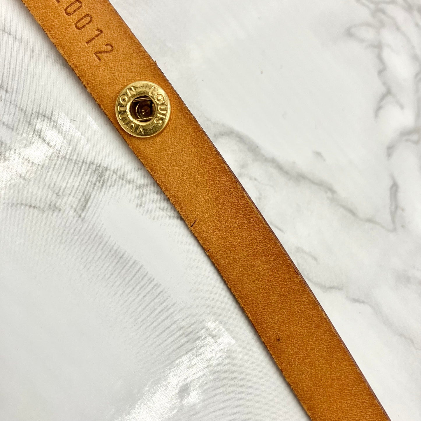 LOUIS VUITTON Monogram florentine