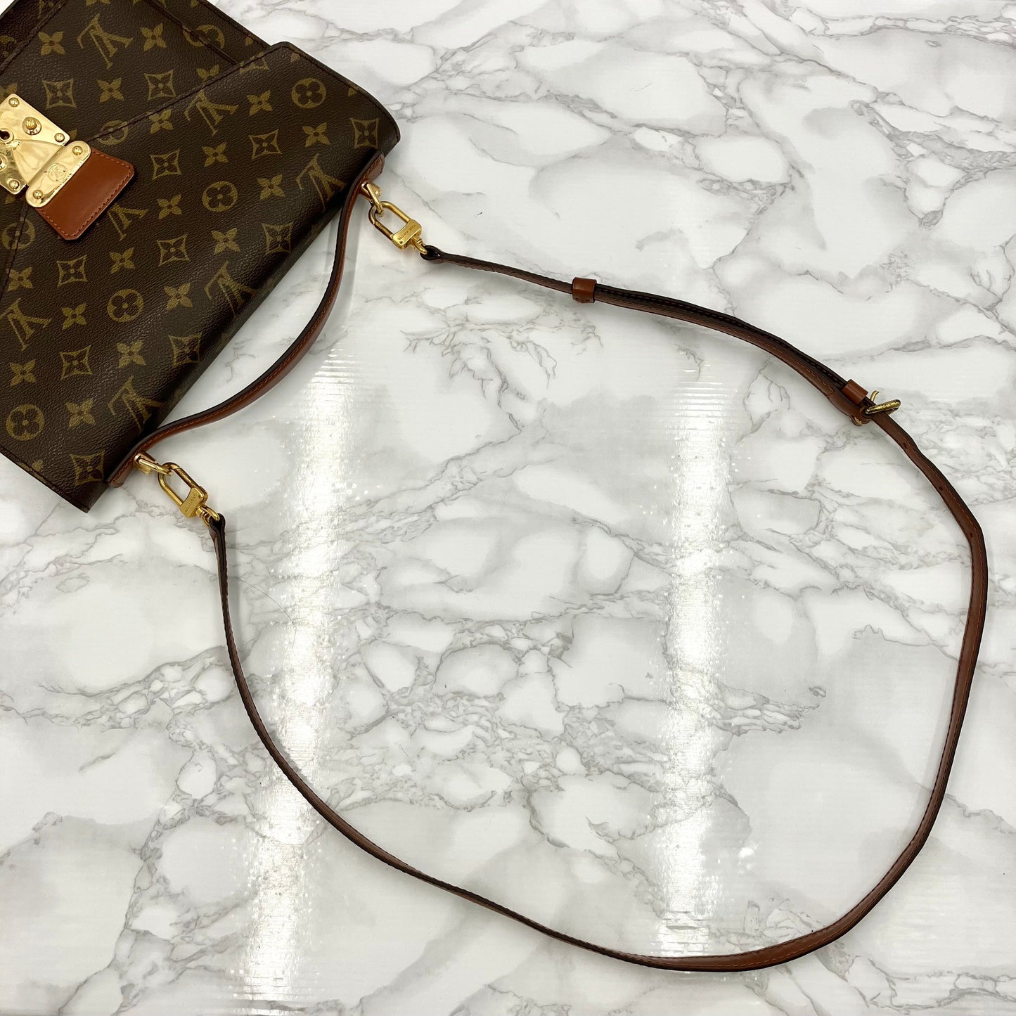LOUIS VUITTON Monogram monceau