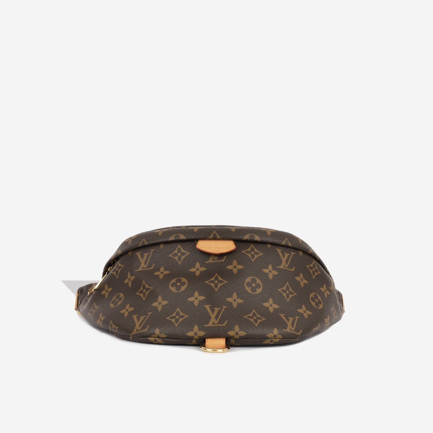 Louis Vuitton Bumbag - Monogram Canvas