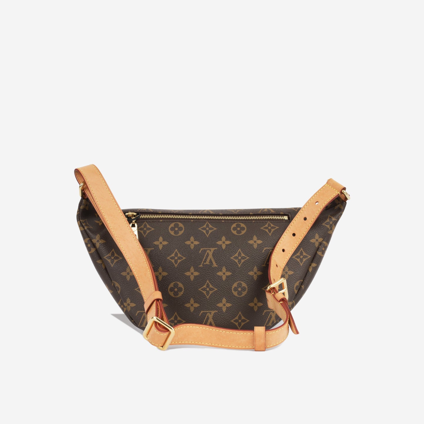 Louis Vuitton Bumbag - Monogram Canvas