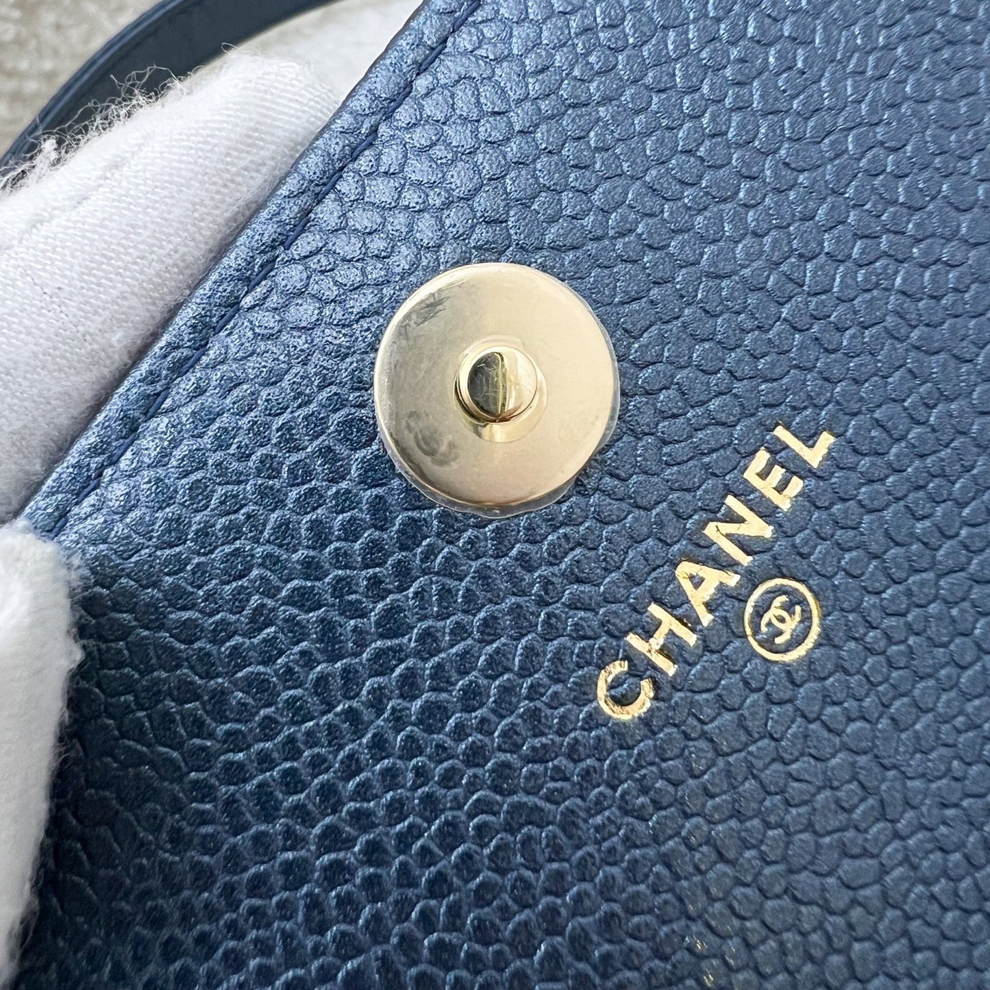 GLM-Square Wallet on Chain WOC in Metallic Blue Caviar and LGHW (Model: A84310)