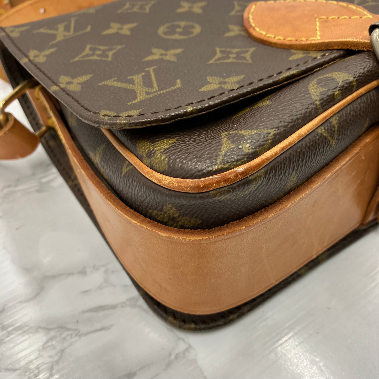 LOUIS VUITTON Monogram Cartesier