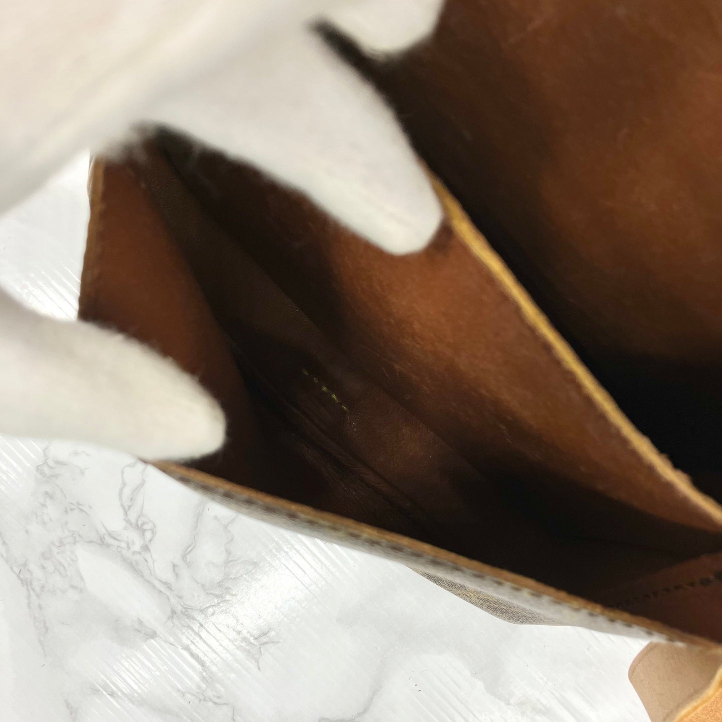 LOUIS VUITTON Monogram Cartesier