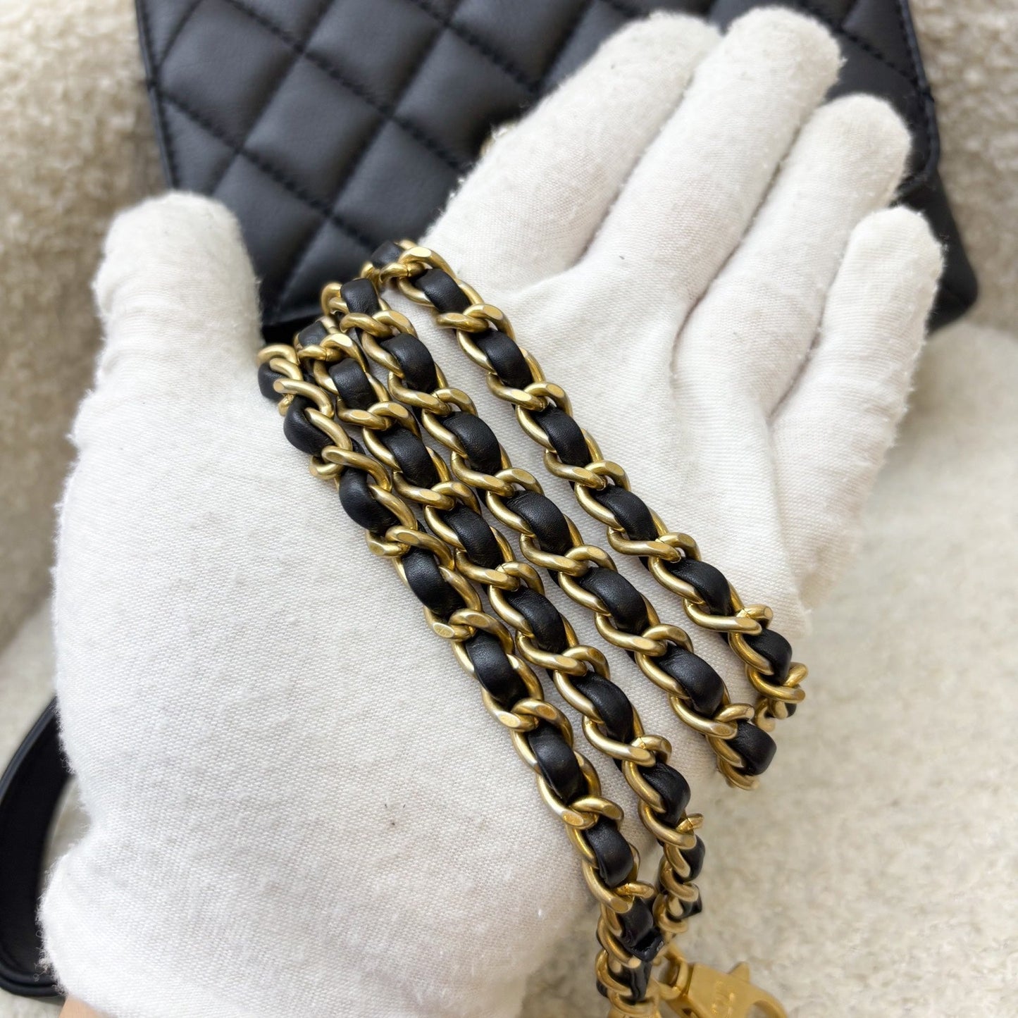 GLM-Mini (19cm) Coco Handle in Black Calfskin and Strass Handle and AGHW
