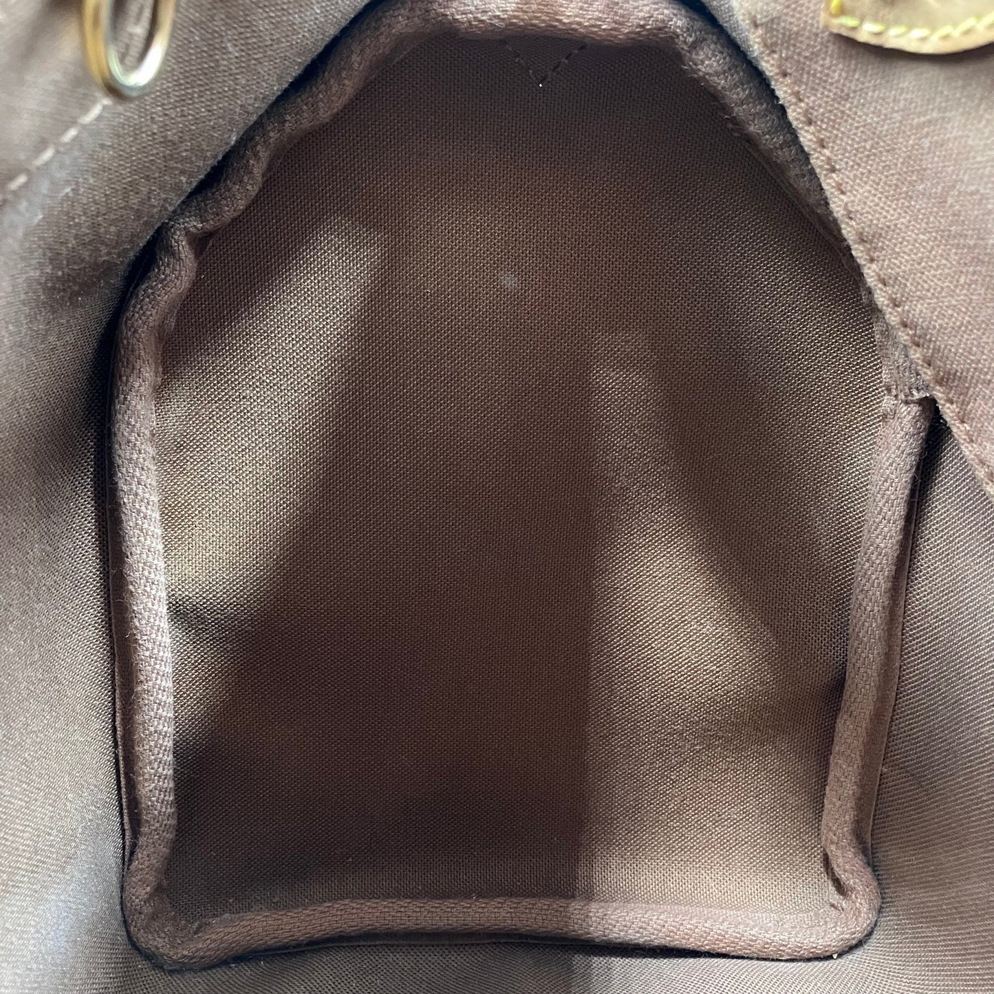 LOUIS VUITTON Speedy 25 monogram Cherry
