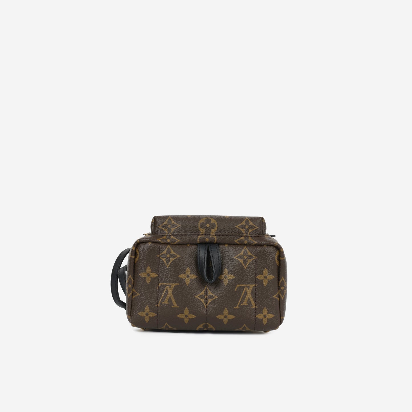 Louis Vuitton Mini Palm Springs - Monogram