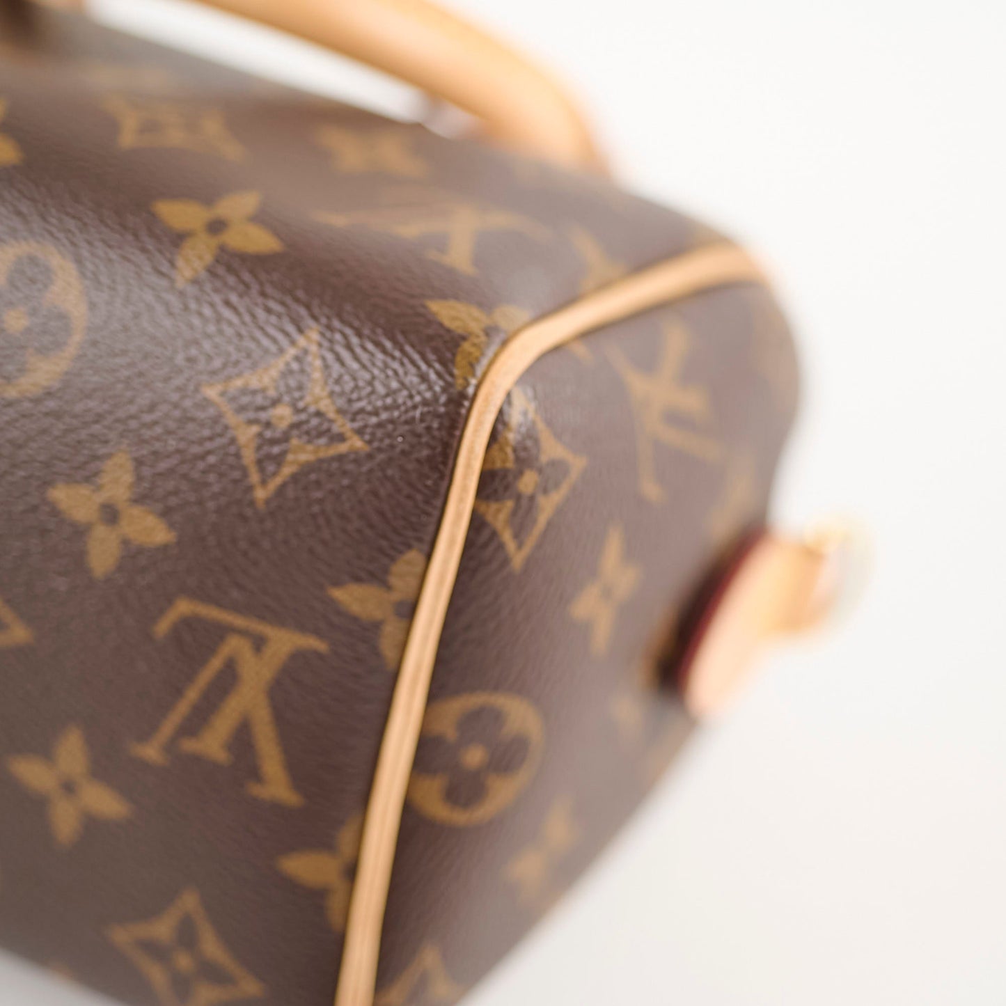 Louis Vuitton Speedy 20 Monogram